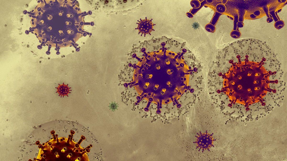 Deux cas de MERS-CoV découverts en France : un appel à la vigilance