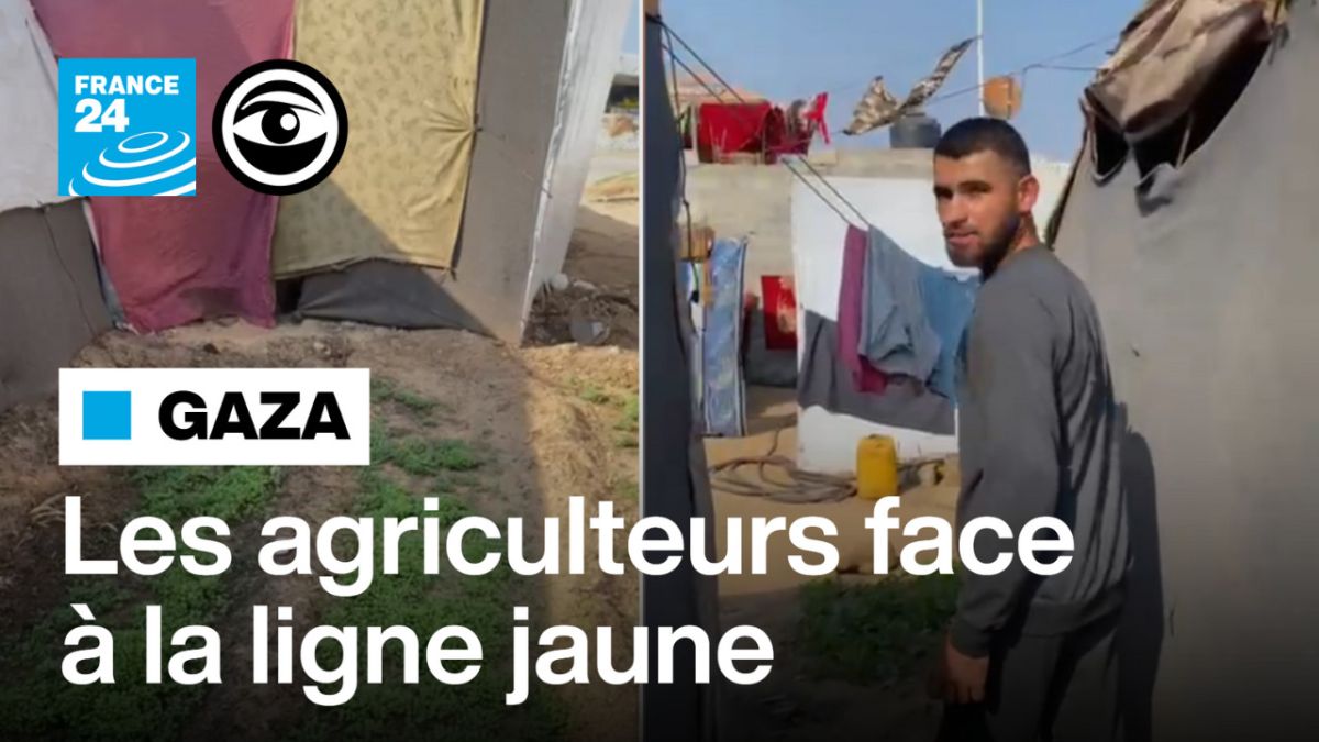 Gaza : des agriculteurs en quête de terre et de dignité