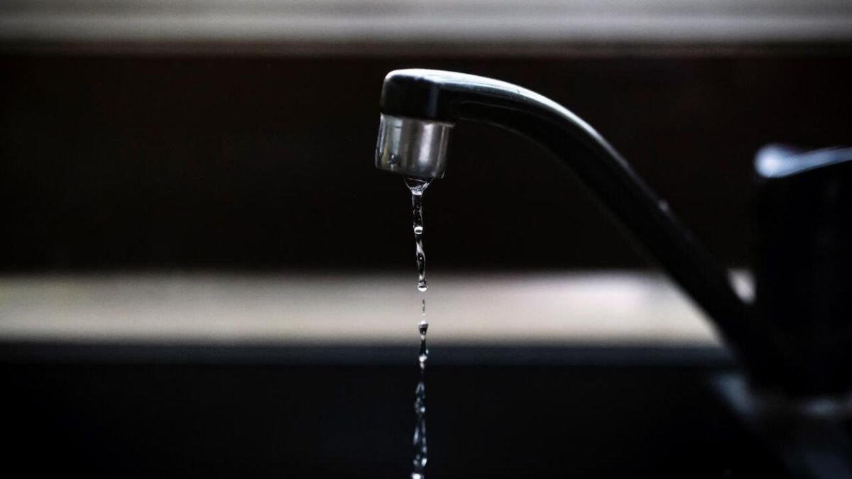 Polluants éternels et risques cachés pendant la grossesse