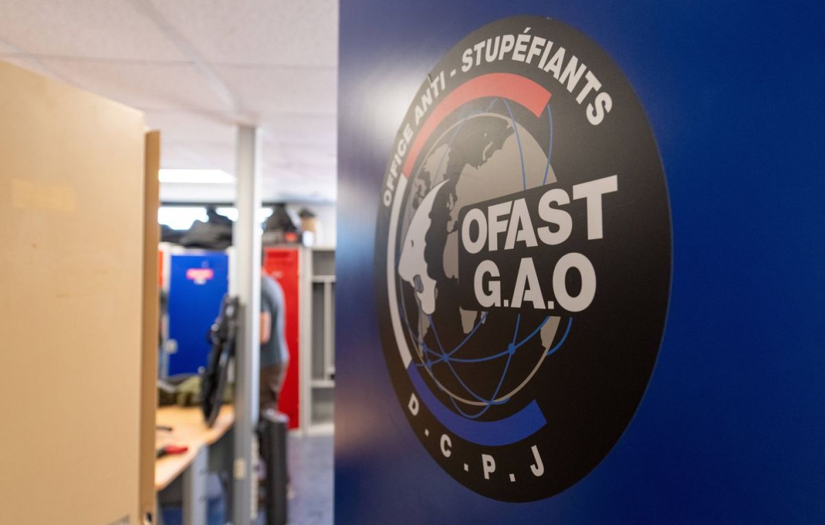 Un réseau de narcotrafic à Marseille : entre résine de cannabis et félins en cage