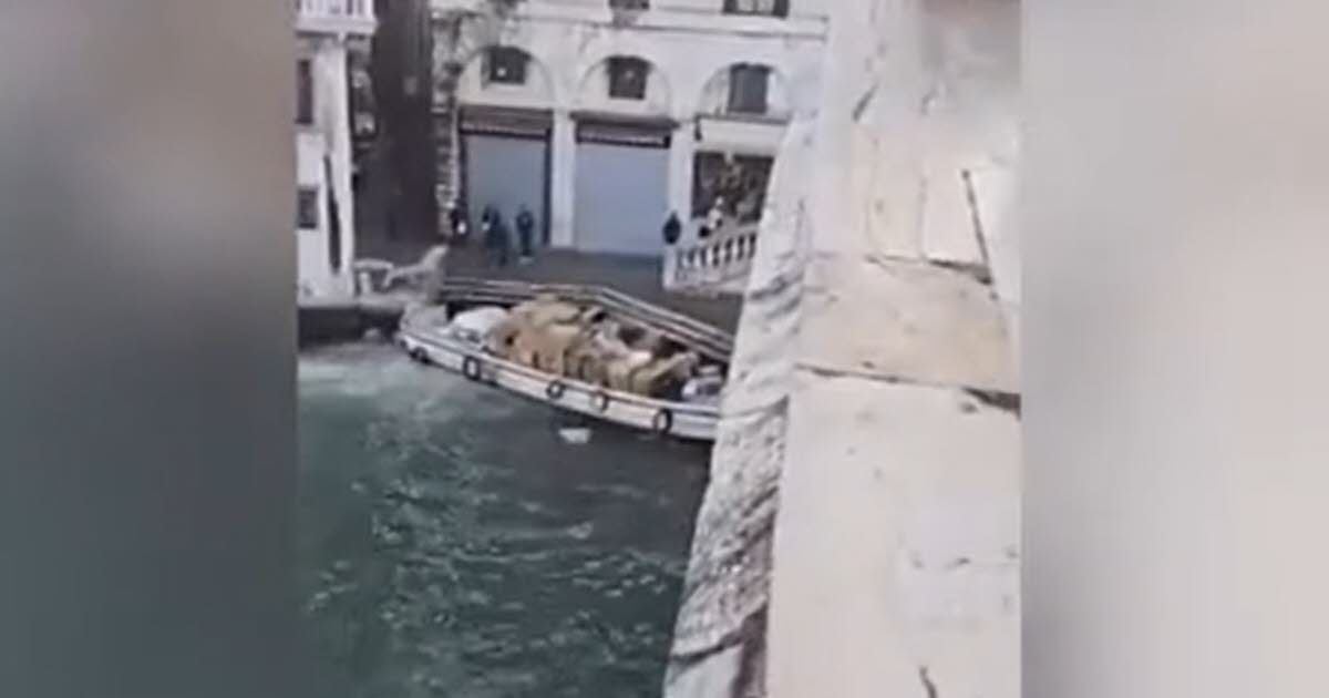 Une escapade mouvementée : vol de bateau et crash au cœur de Venise