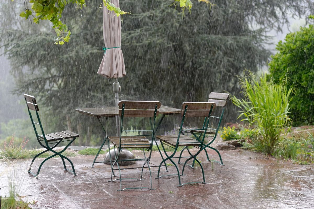 Protégez vos plantes de la pluie : un geste simple à adopter cet hiver