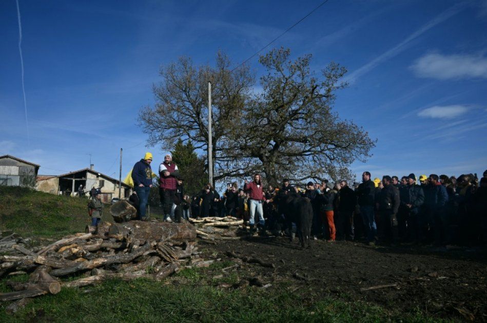 Tensions croissantes en Ariège : les agriculteurs s'opposent à l'abattage d'un troupeau
