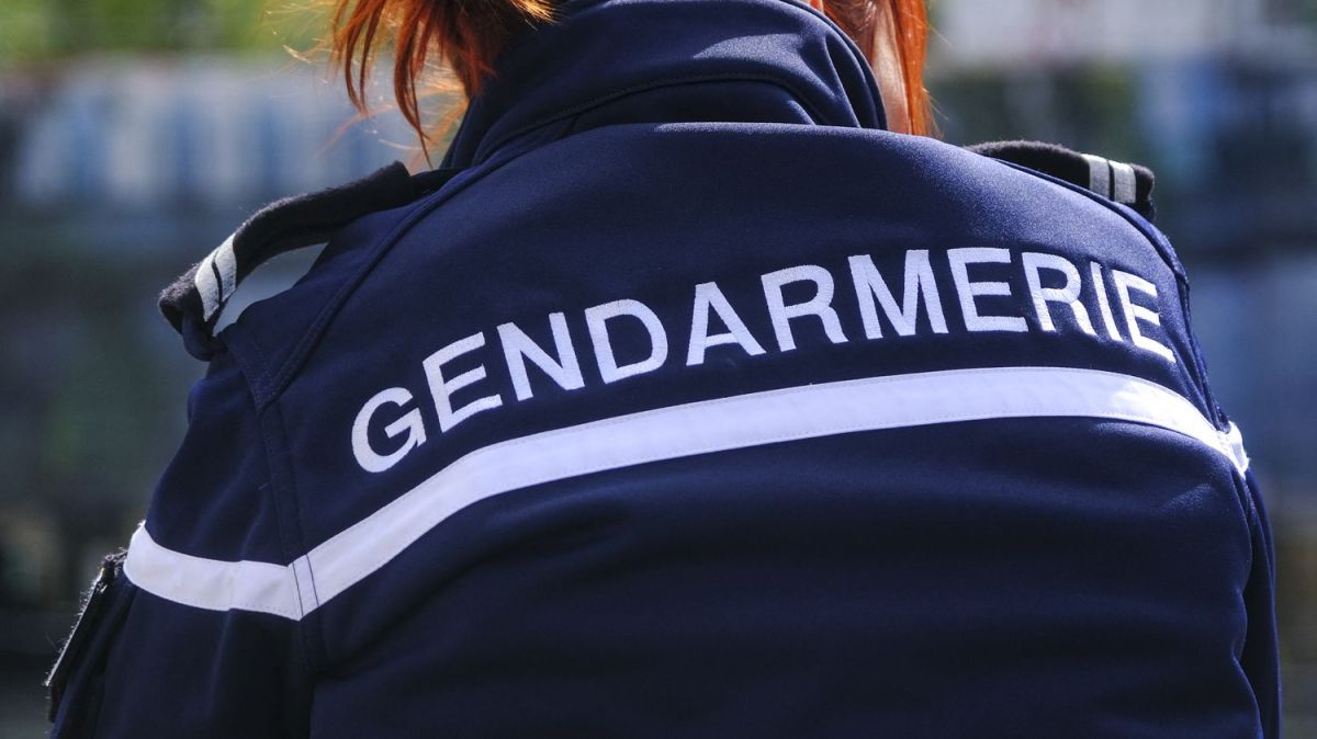 Meurtre filmé dans le Gard : six suspects arrêtés