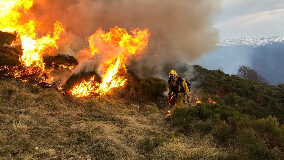 Un incendie dévastateur dans les Pyrénées : six hectares de verdure ravagés