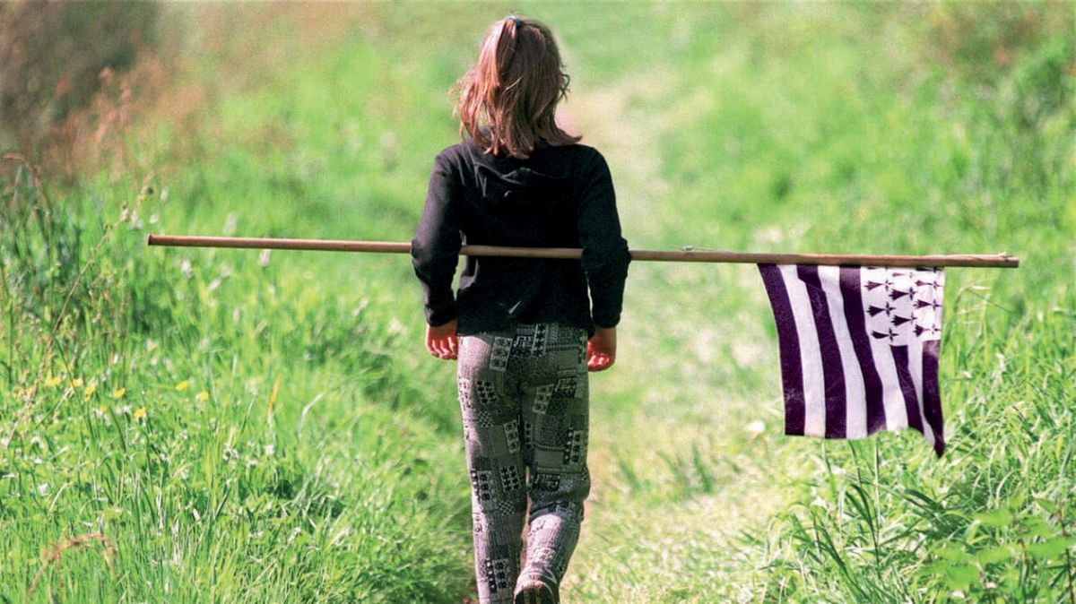 Bretagne : Entre Histoire et Révolte, Voyage au cœur des Nationalistes Bretons
