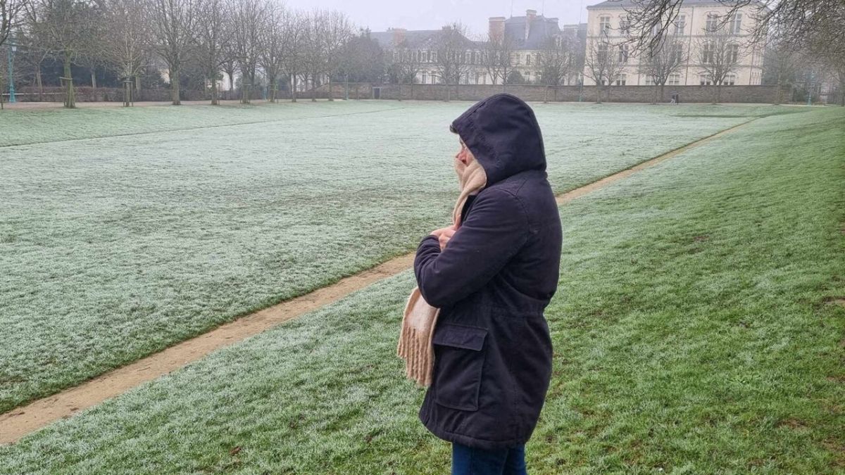 Le froid s’installe : gelées et neige prévues en France pour la fin d'année