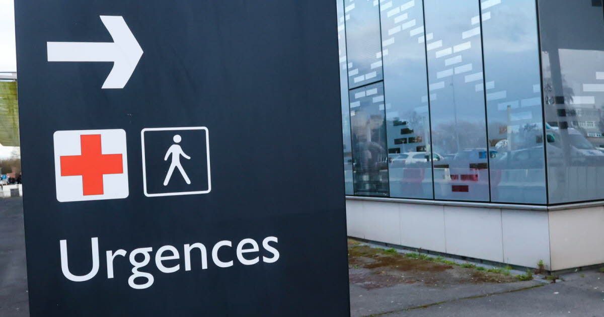 La grippe menace nos hôpitaux : ce que prédit Pasteur pour Noël