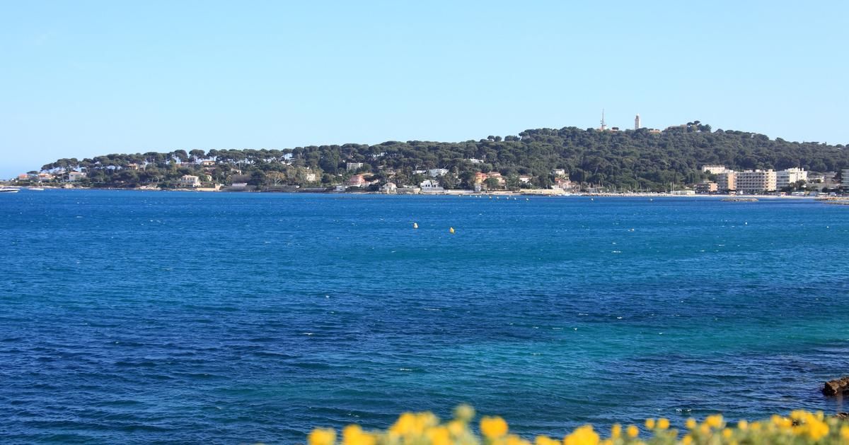 Nouvelles révélations sur le crash de la Caravelle : l'épave enfin photographiée