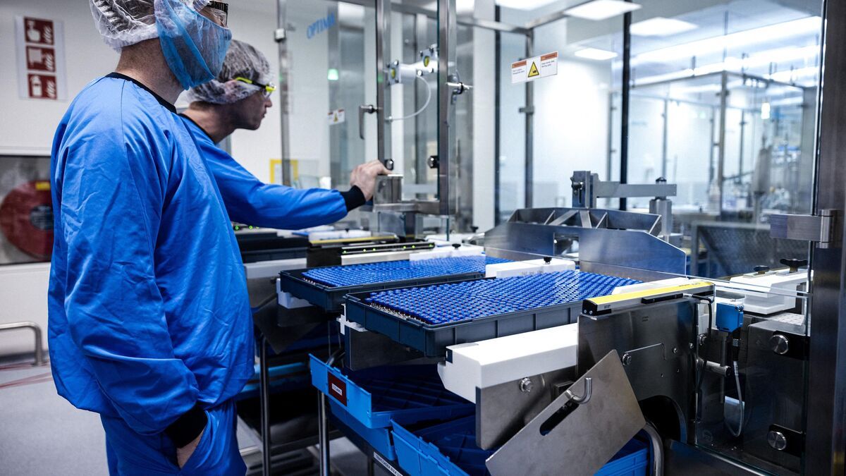 Vaccins contre la dermatose nodulaire contagieuse : une réponse rapide face à la crise