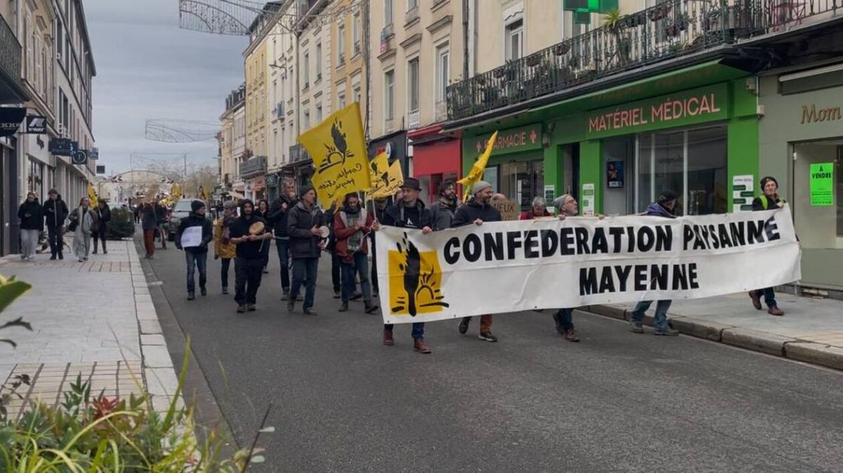 Les agriculteurs de la Mayenne s’inquiètent face à la dermatose noduleuse