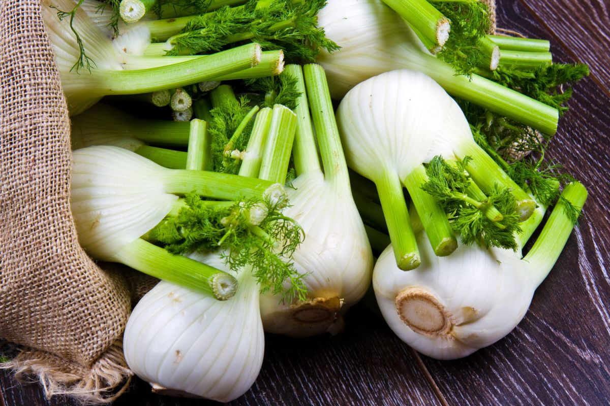 Découvrez comment sublimer le fenouil en cuisine