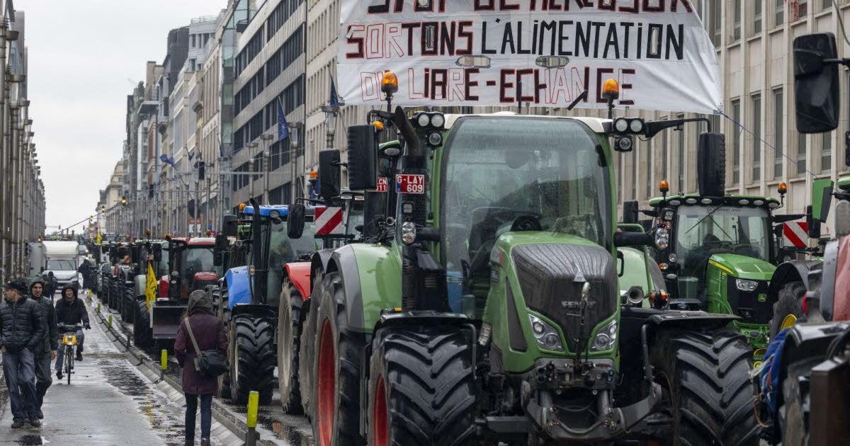 Agriculteurs en colère : la mobilisation s'intensifie à Bruxelles