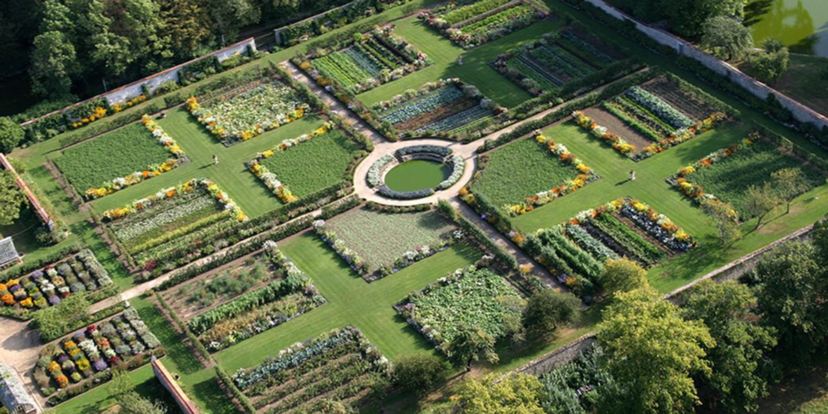 À la découverte du potager fleuri du château de Saint-Jean de Beauregard