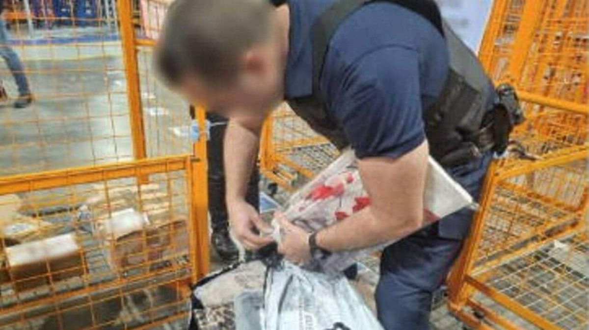 Un quart des colis Shein jugés non conformes : ce que révèlent les Douanes