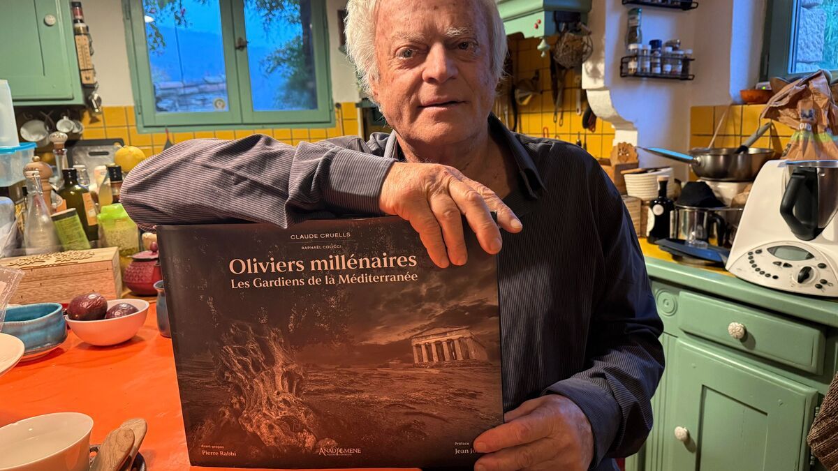 À la découverte de l'huile d'olive : l'épopée médiévale de l'or liquide