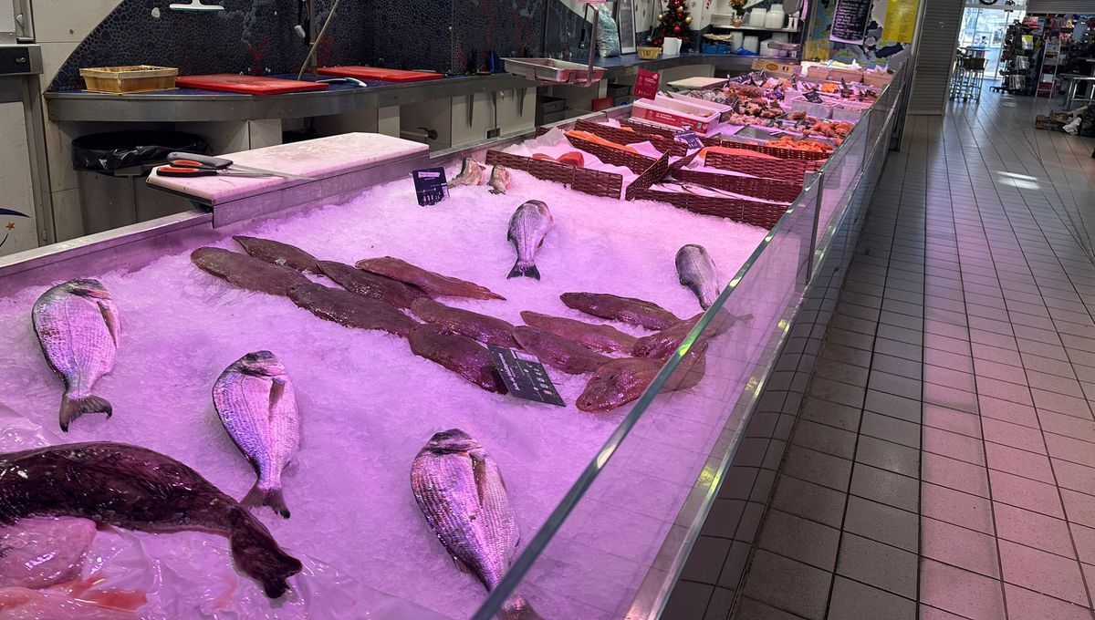 Coup de filet dans une poissonnerie de Montpellier : caviar et saumon disparus