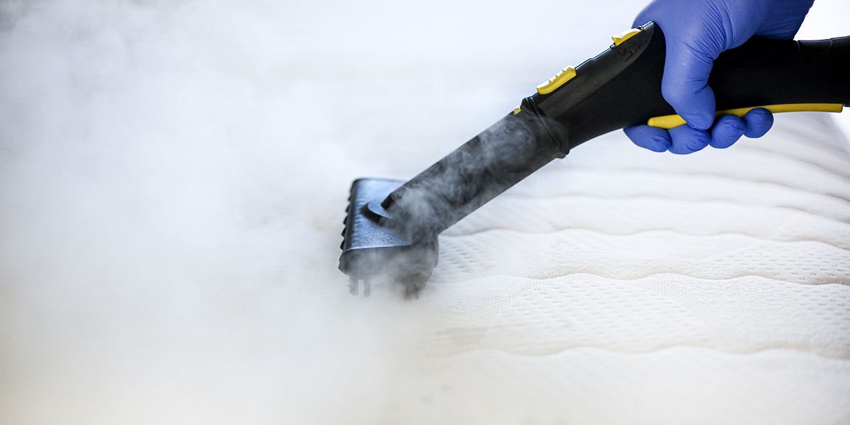 Peut-on vraiment compter sur le nettoyeur vapeur pour éliminer les punaises de lit ?