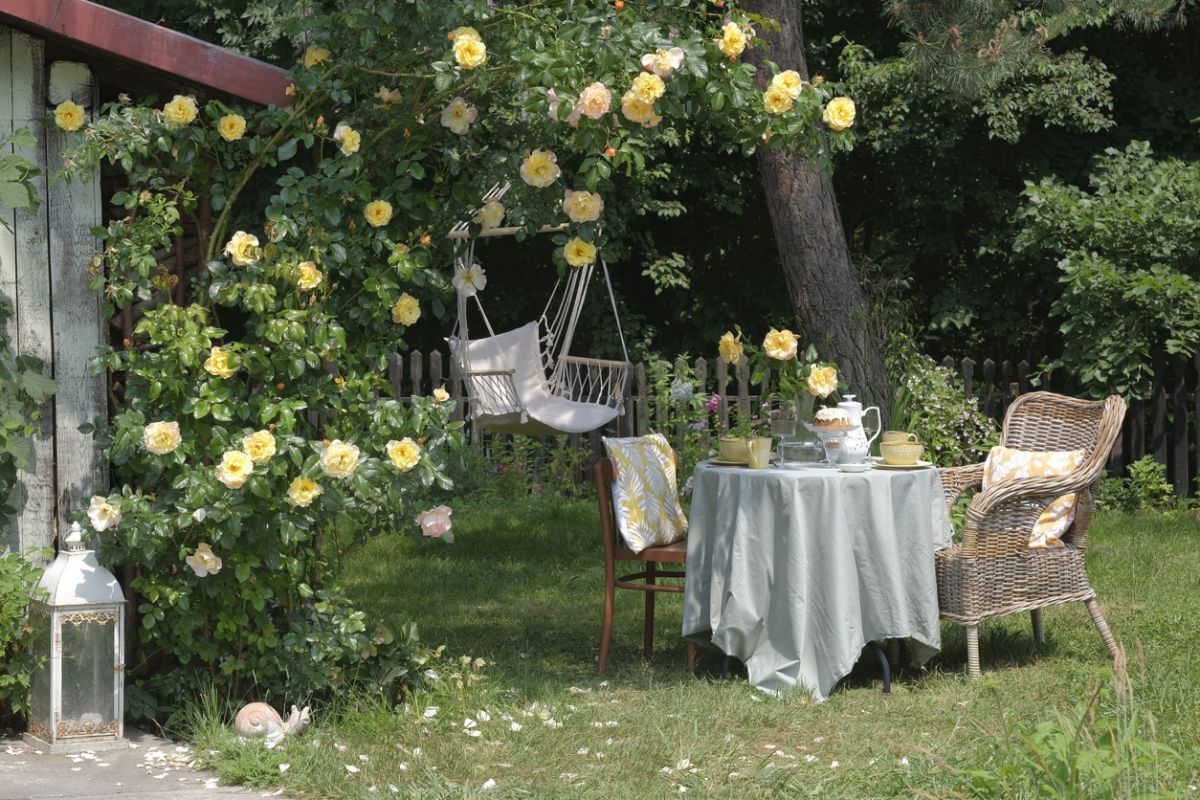 Transformez vos objets délaissés en tuteurs innovants pour vos plantes grimpantes