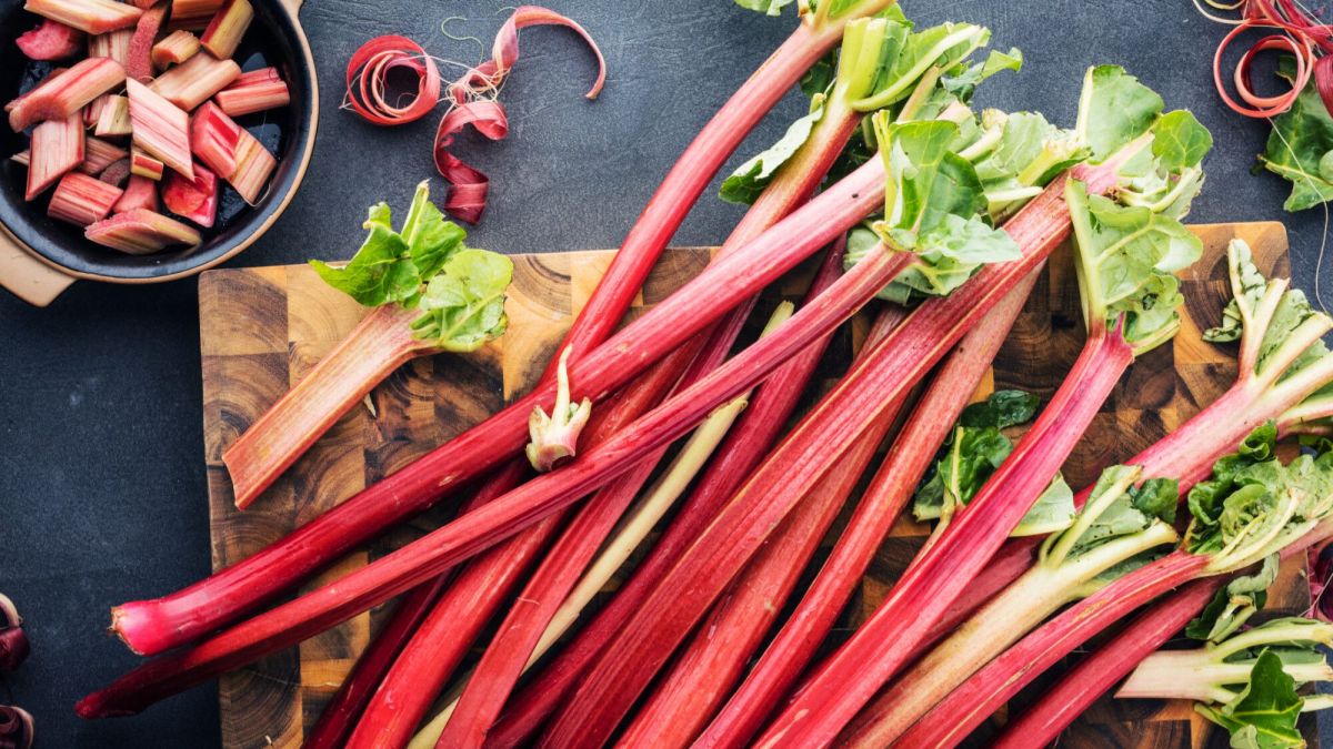 La rhubarbe : un trésor comestible aux multiples facettes