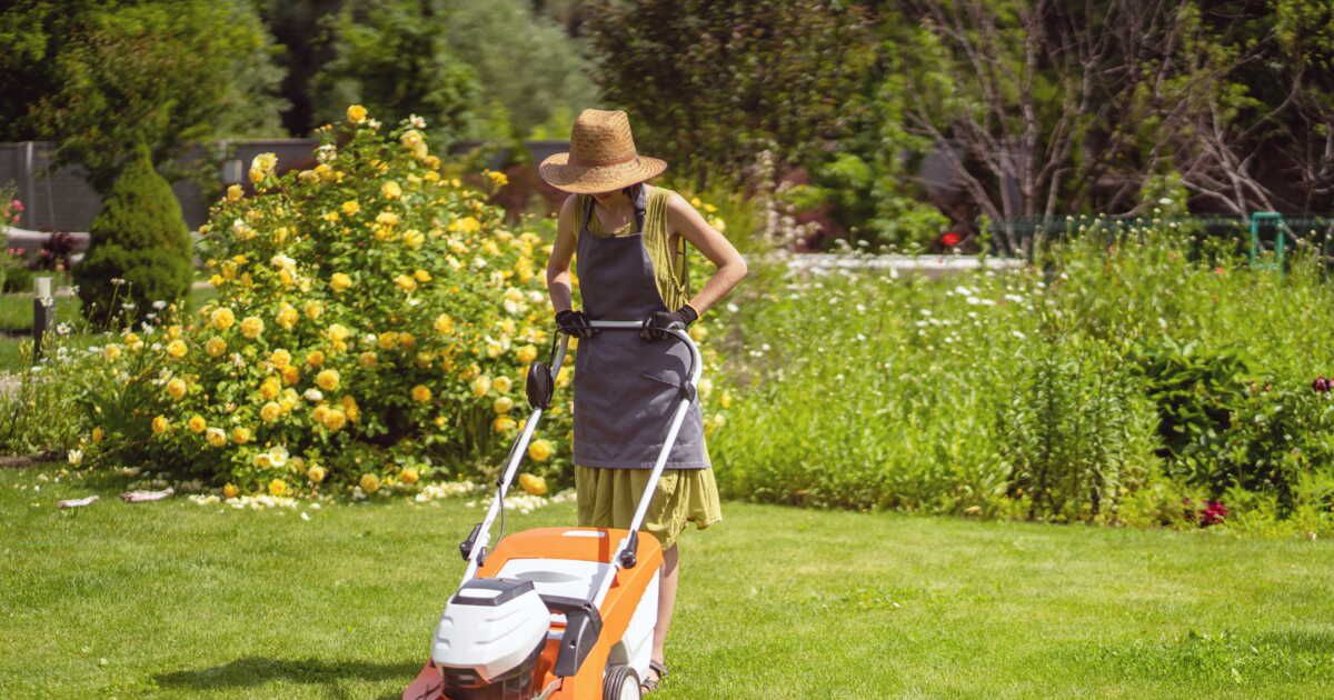 Maintenir une pelouse verdoyante en période de sécheresse