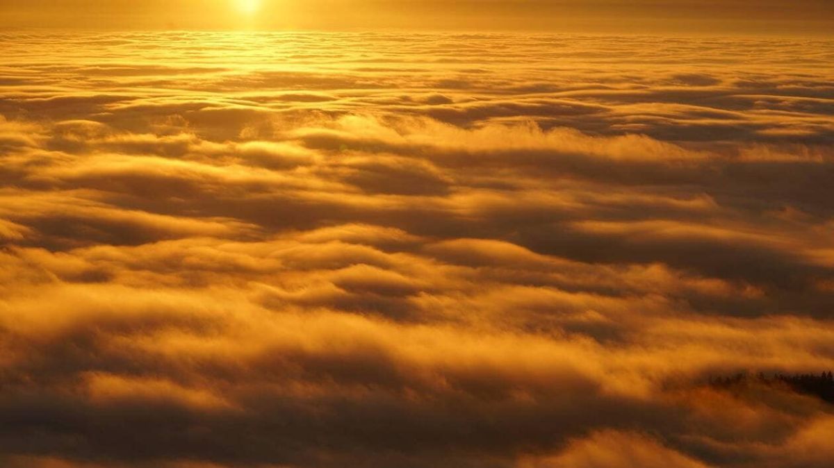 Une journée maussade à Flers : prévisions du 13 janvier 2026