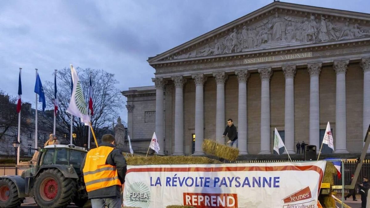 Les agriculteurs en colère : des tracteurs, des revendications et un gouvernement sous pression