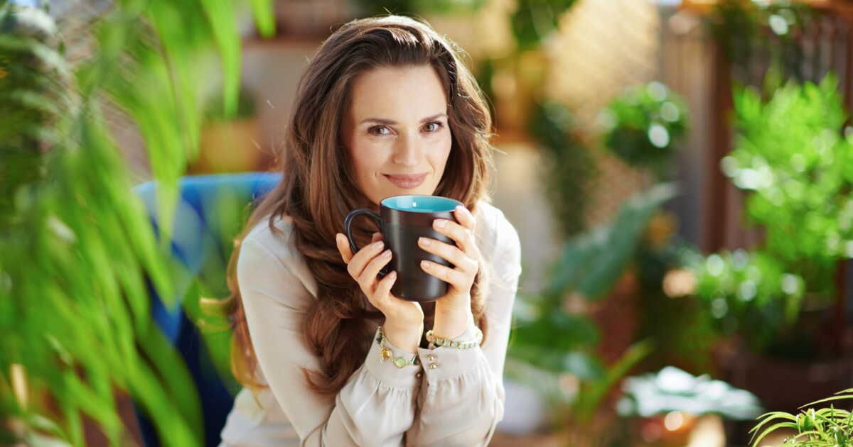 Chlorella : détox et bien-être, explorez les secrets de cette algue miraculeuse