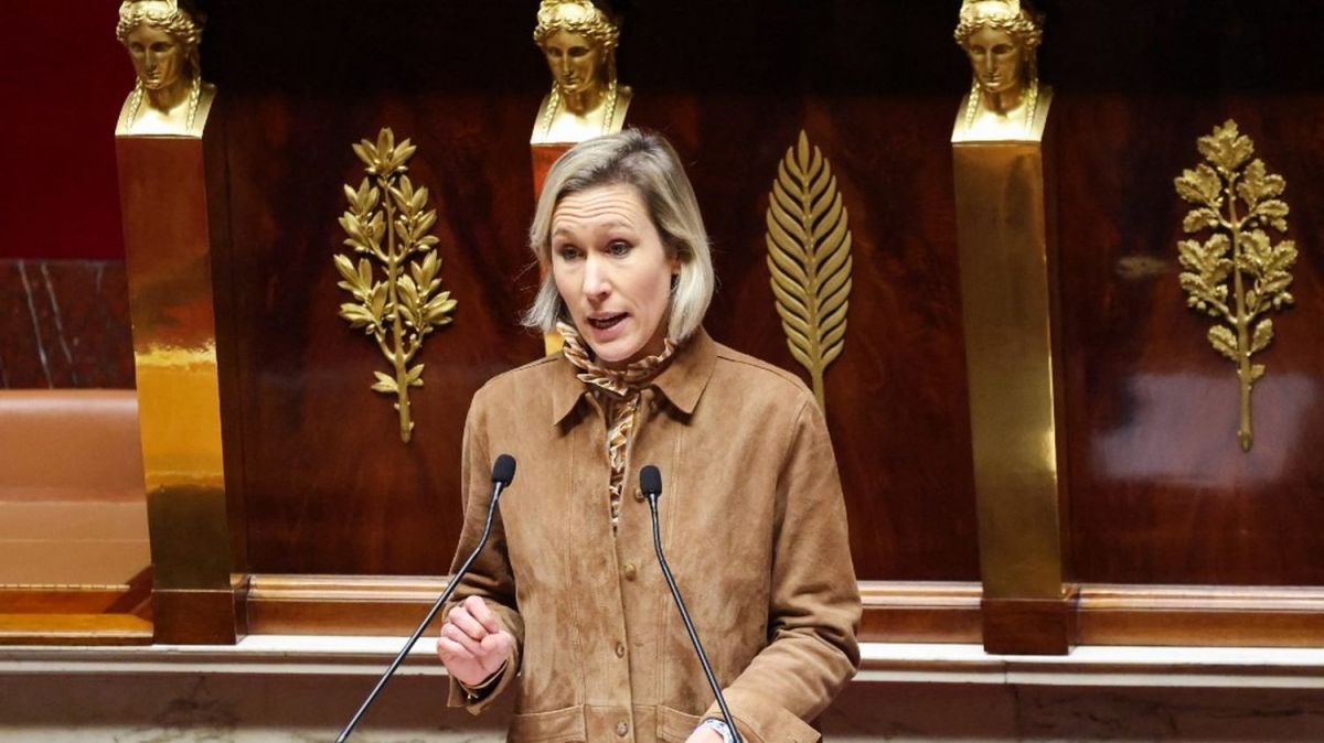 L'interdiction des réseaux sociaux pour les moins de 15 ans : une avancée saluée par Laure Miller