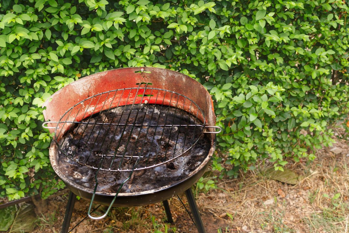 Une grille de barbecue impeccable avec un seul ingrédient : l'astuce inratable