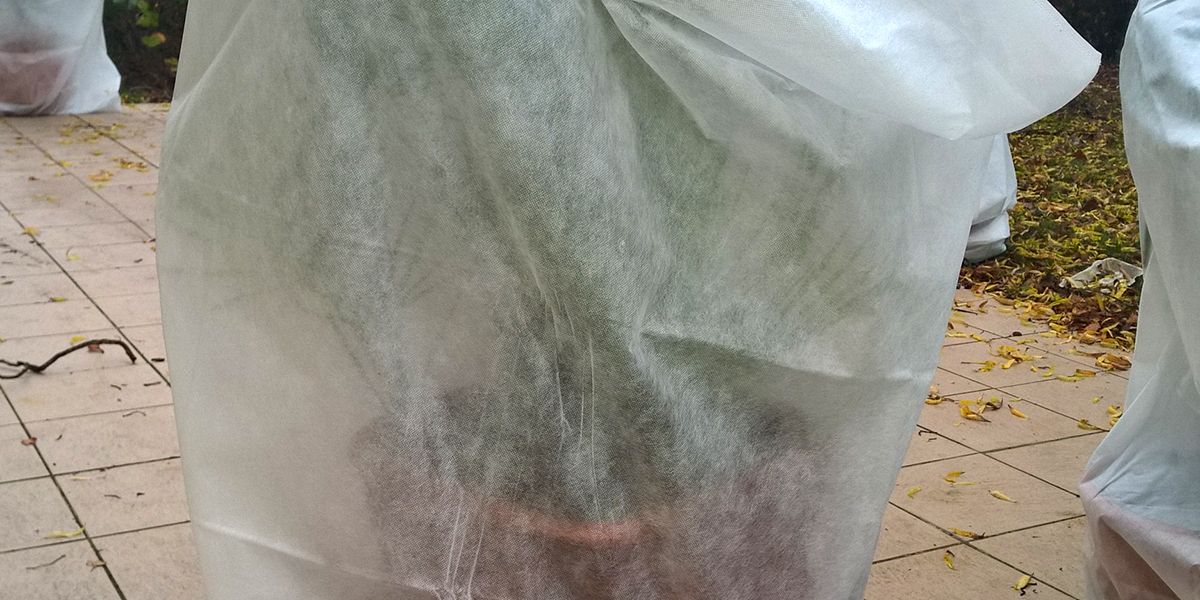 protéger ses plantes : comment poser un voile d’hivernage correctement