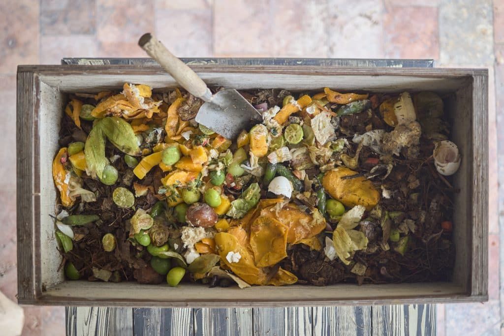 en finir avec le compost qui pue : l'astuce simple et durable