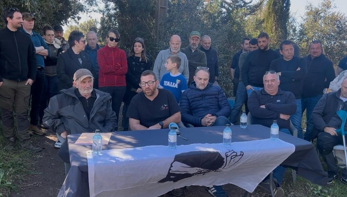 Linguizzetta : des agriculteurs dénoncent l’accaparement des terres agricoles