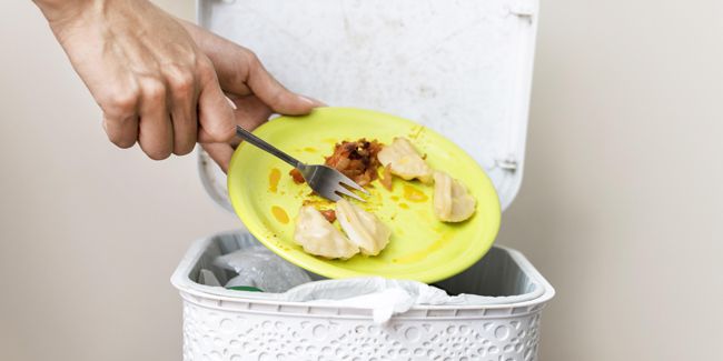 Gaspillage alimentaire : comment agir pour un monde sans déchets