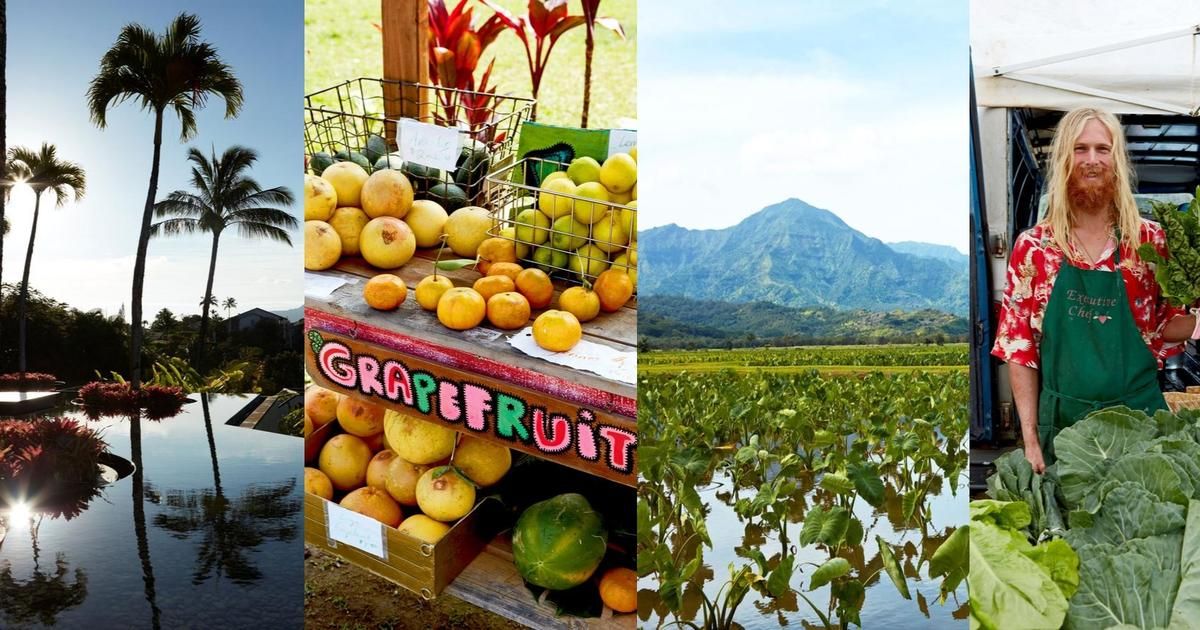 Explorer les saveurs d'Hawaï : entre poke et agriculture durable