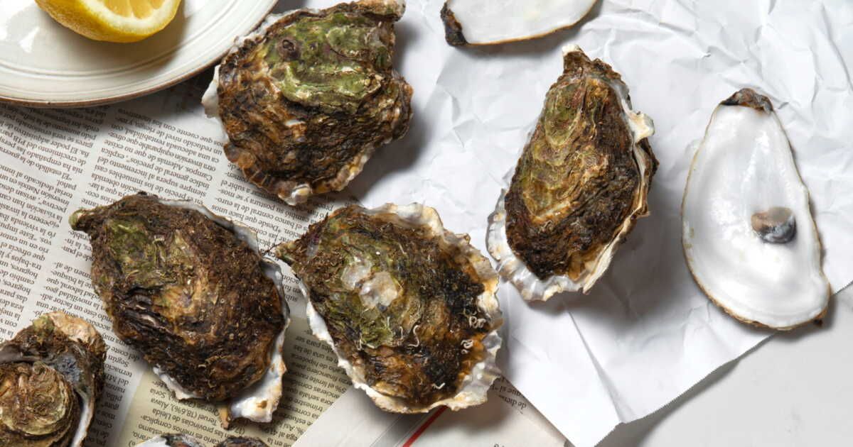 Comment bien jeter les coquilles d’huîtres et de Saint-Jacques