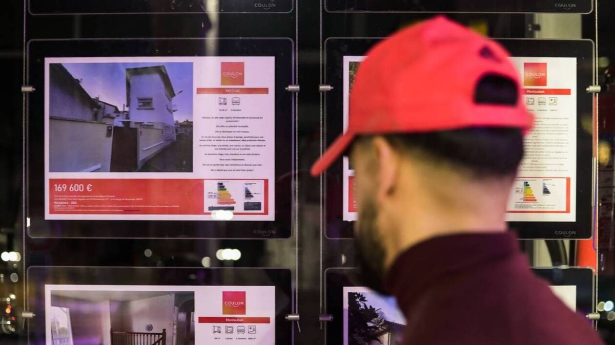 Quand la vie fait peau neuve : un studio de 10 m² à 1 300 € à Zurich fait le buzz