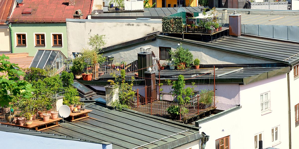 découvrez les bienfaits du toit terrasse pour votre maison moderne