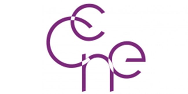 Le comité consultatif national d’éthique : enjeux et missions révélés