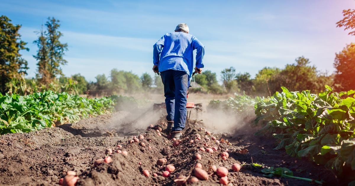 Éviter le cadmium : enjeux et protections face à cette menace invisible