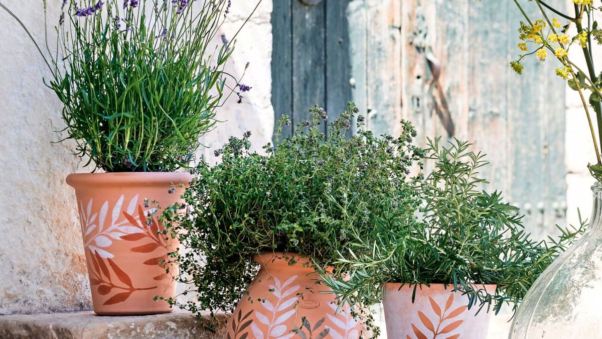 transformez vos pots de jardin avec une décoration colorée et unique