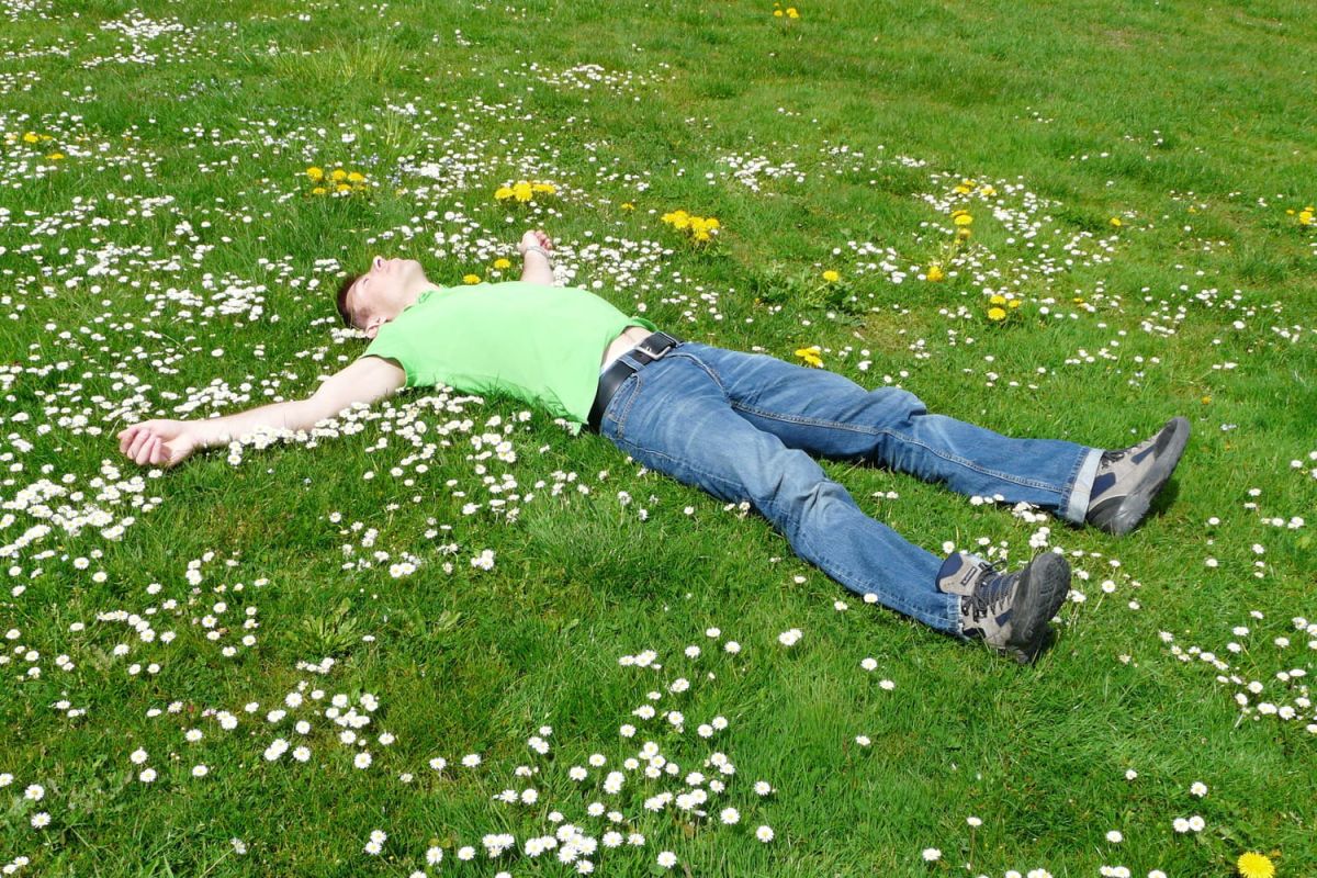 Des astuces de jardinage pour les amateurs de simplicité