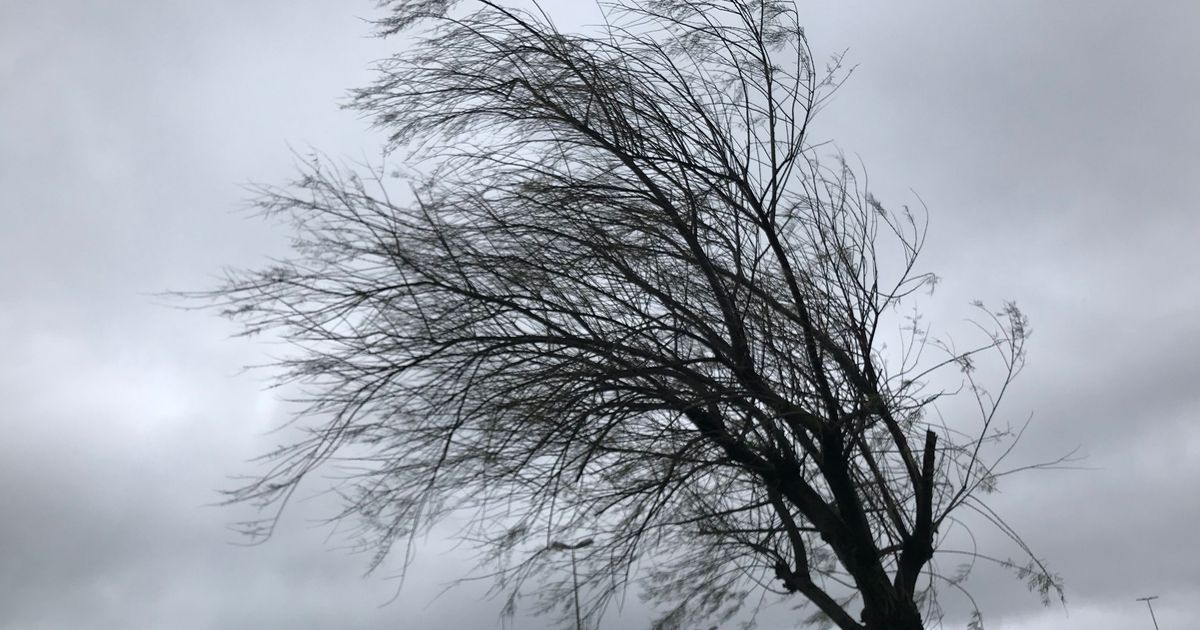 Un froid inattendu : la Corse se prépare à affronter vents violents et chutes de neige