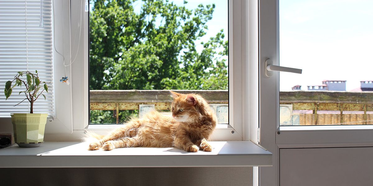 Comment garder votre maison fraîche pendant les vagues de chaleur