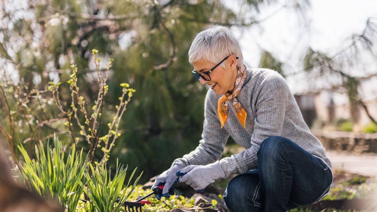 Désherber une allée de graviers : astuces pratiques et efficaces