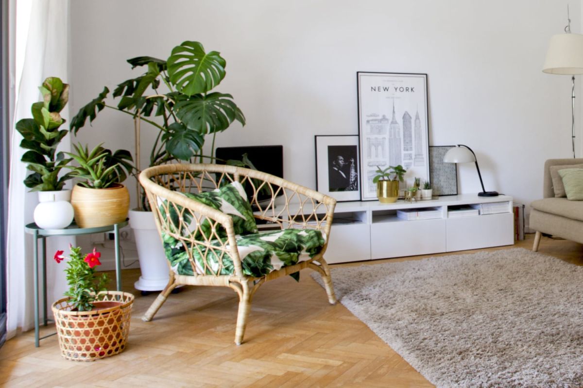 Les incroyables bienfaits des plantes d'intérieur pour un quotidien plus sain