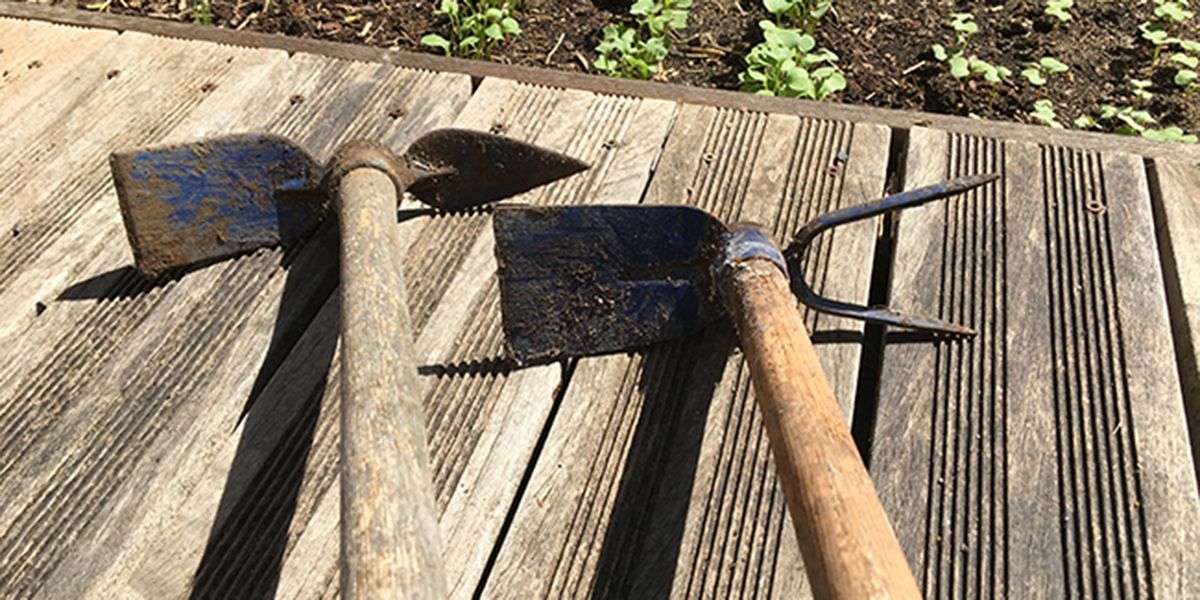 La serfouette : l'outil de jardinage indispensable pour tous