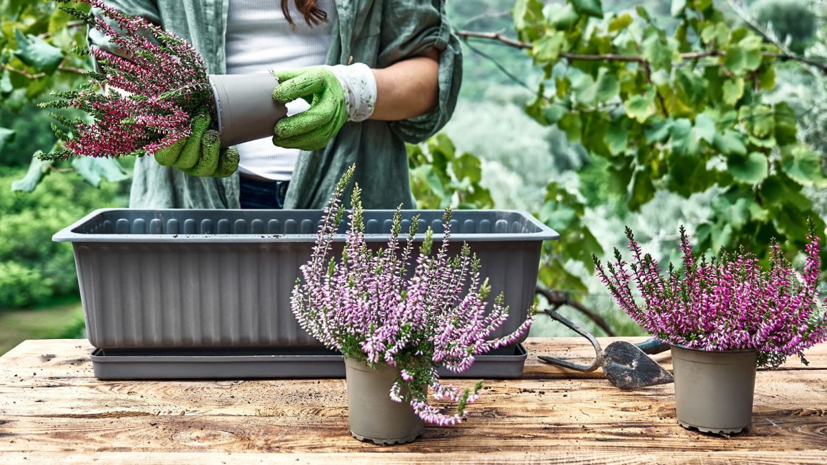 5 gestes essentiels pour préparer votre balcon à l'automne