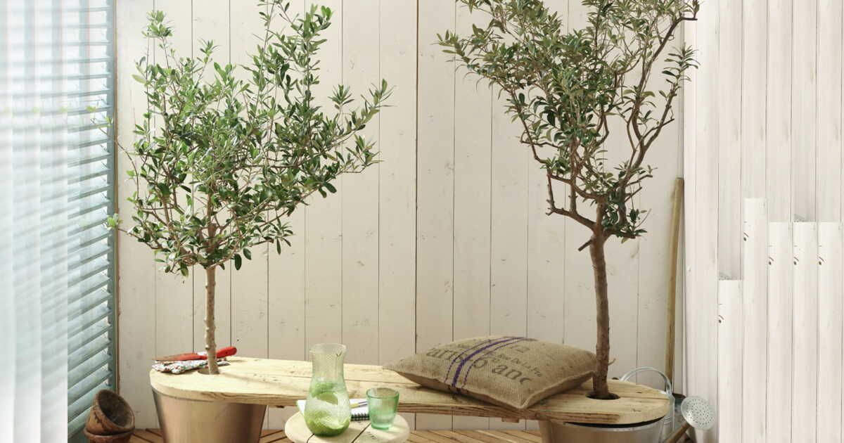 Un banc de jardin écologique