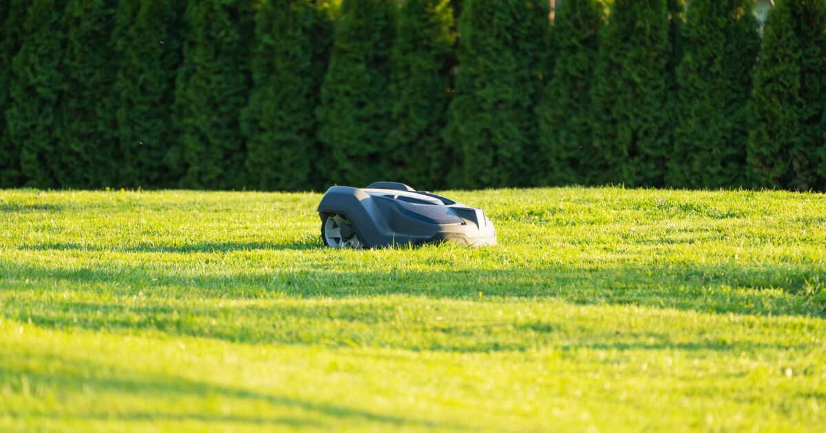 Faut-il acheter un robot tondeuse ?